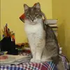 Отзыв от Варвара Дмитриева